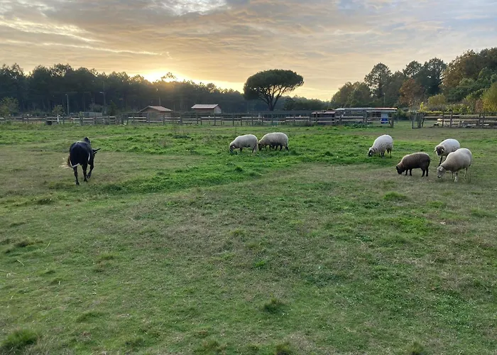 Gite - La Ferme A La Plage
